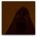 rabbit shape1