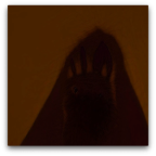 rabbit shape1