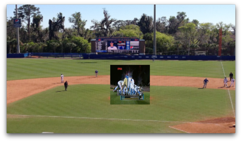 TEAMSPORTSTEAM - Grace Schwarz.01.png
