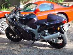 viper busa 16