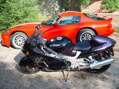 viper busa 21